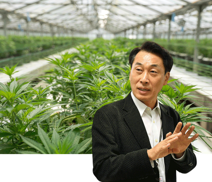 Tiến Sĩ Jeong Jeong-yeop: Chuyên Gia Hàng Đầu Về Cây Gai Dầu