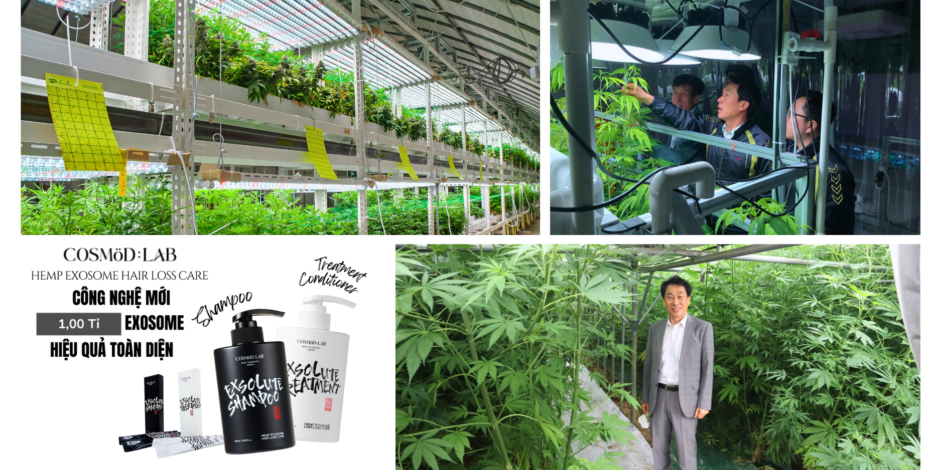 Hành Trình Kỳ Diệu Của Exosome Cosmood Exsolute: Từ Cánh Đồng Đến Tay Bạn